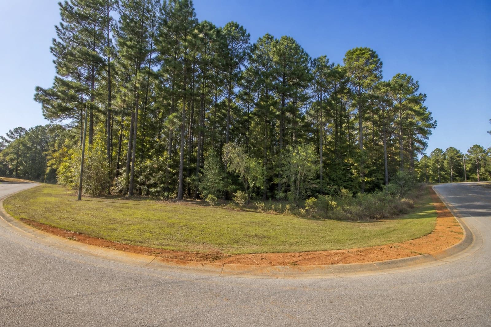 Lexington County-style development corner with mowed frontage, pines, and red clay roadside.